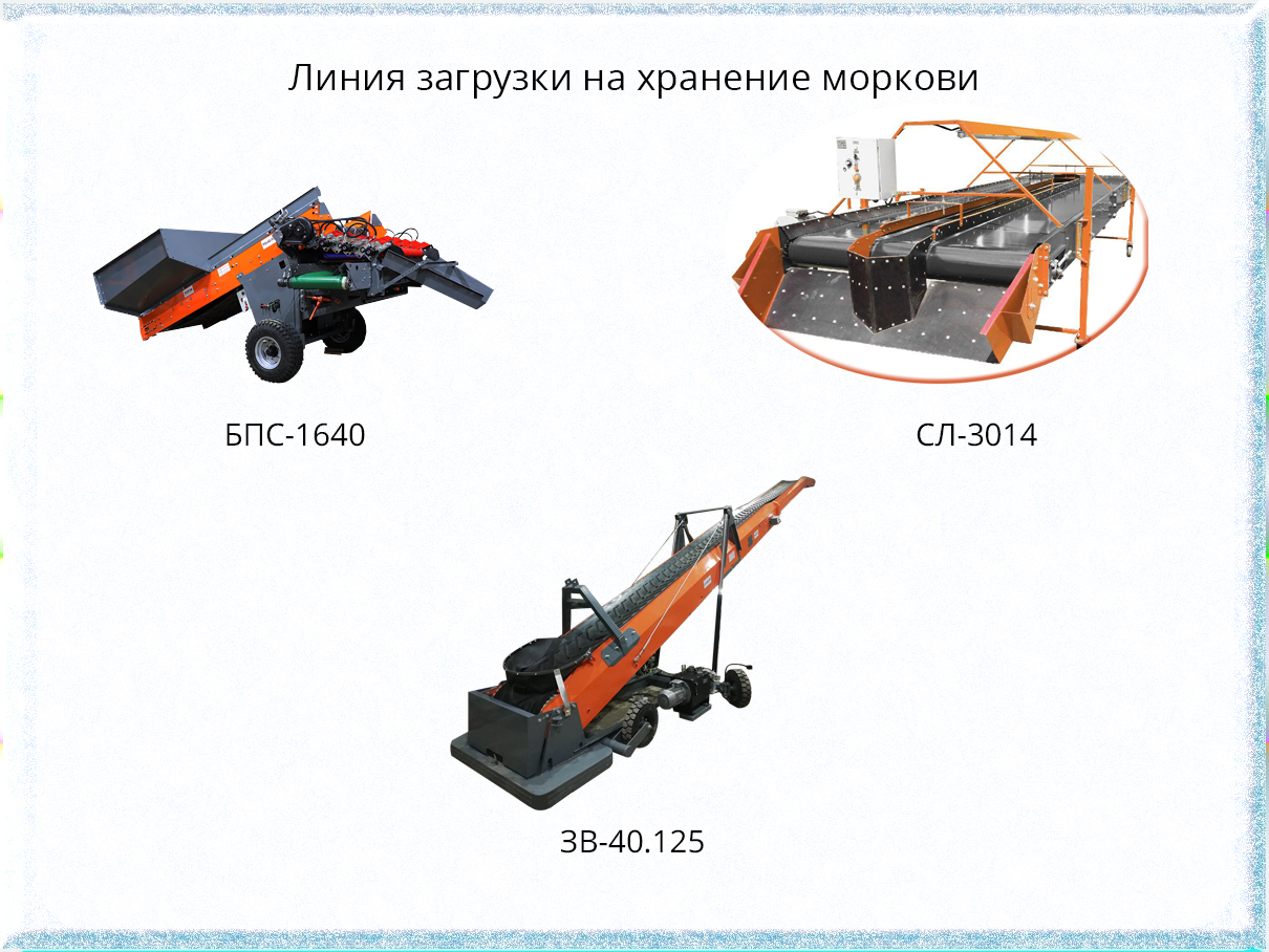 Линия загрузки на хранение моркови | Быстрая загрузка овощей