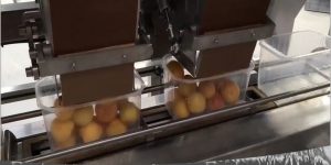 Машины для взвешивания фруктов